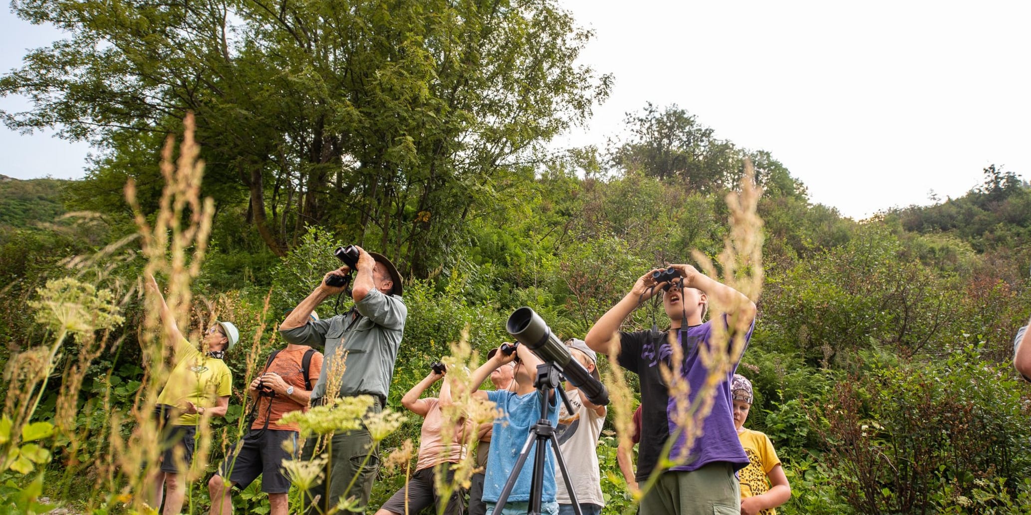 Gruppe Menschen mit Ferngläsern in der Natur
