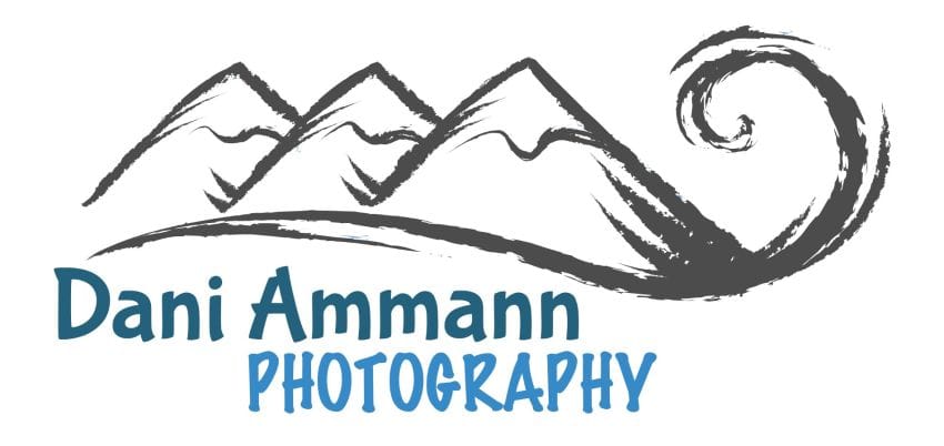 Partnerlogo Dani Ammann